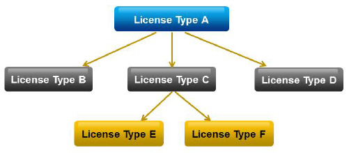 Example of a well-formed license-type hierarchy.